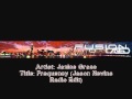 Janice Grace - Frequency (Jason Nevins Radio Edit)