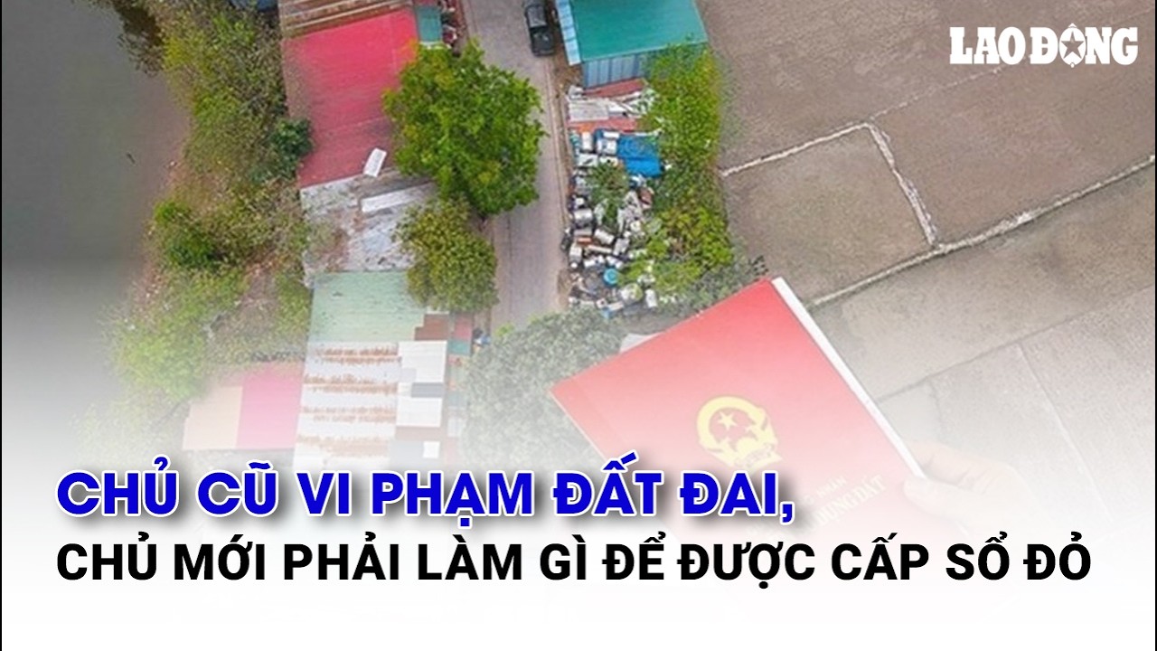 Chủ cũ vi phạm đất đai, chủ mới phải làm gì để được cấp sổ đỏ