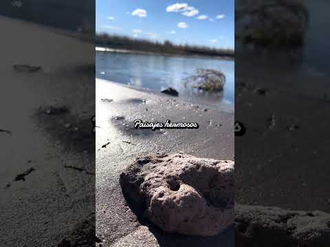 De Guaminí a la Laguna del Venado 🚗🐾