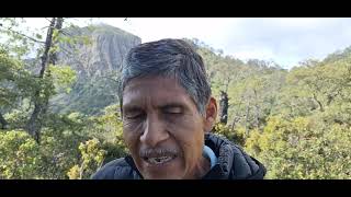 Mi Único Camino - Los Cadetes  De Linares - Cover