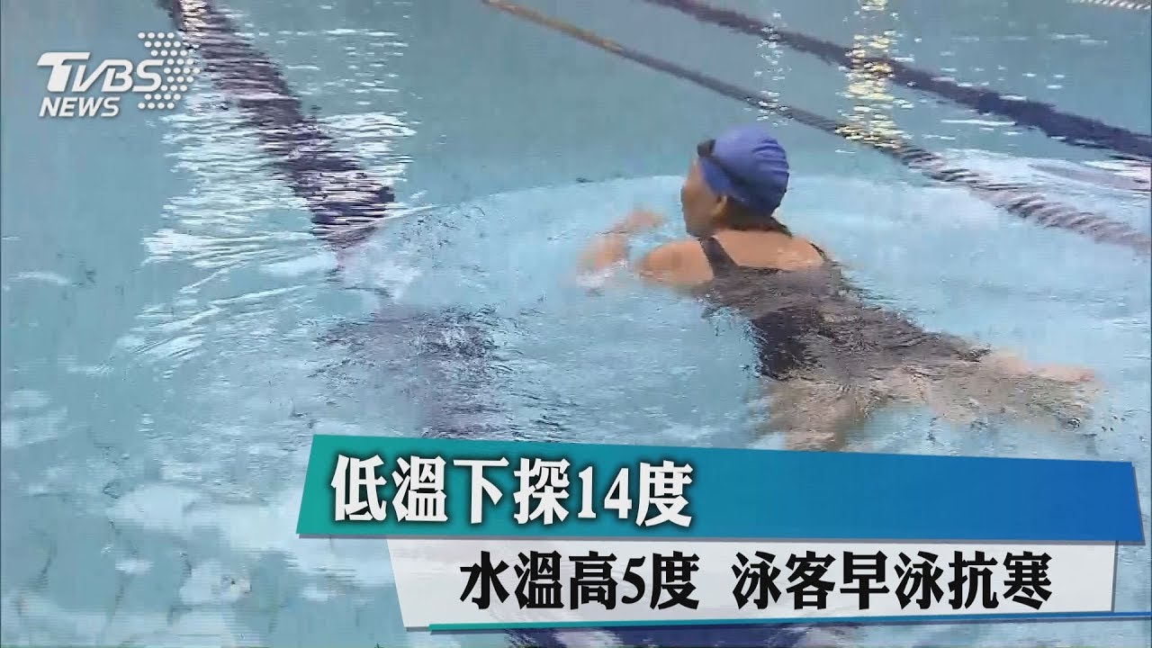 低溫下探14度、水溫高5度 泳客早泳抗寒