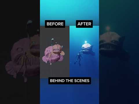 CGI on tiktok: Before - After monster underwater