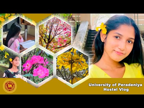 University of Peradeniya Hostel life Vlog | EDU with DULANKA