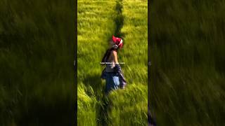 Download lagu Dandelions - Ruth B. | Lyrics | Aesthetic | Whatsapp Status | English songs | Slowed | #lyrics #song mp3