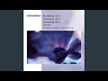 Symphony No. 1 in D Minor, Op. 13: II. Allegro animato