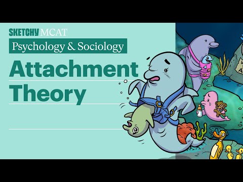 Attachment Theory Explained (Psychology)