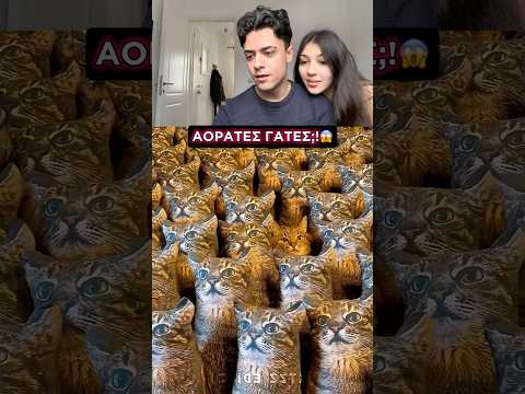 ΑΟΡΑΤΕΣ ΓΑΤΕΣ! #shorts