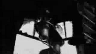 patrick wolf - to the lighthouse