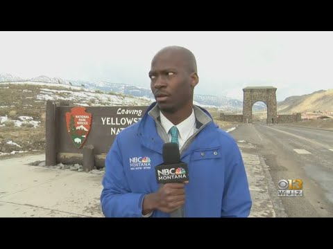 Baltimore Native Deion Broxton Becomes Viral Hit Over Yellowstone Bison Video