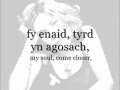 Y Corryn a'r Pry - Cerys Matthews (geiriau / lyrics)