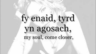 Y Corryn a&#39;r Pry - Cerys Matthews (geiriau / lyrics)