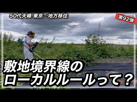 あなたの庭を区切るための最高のアイデア 2022年夏 オリジナルの安価な庭の境界線 