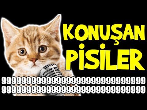 Konuşan Pisiler 9999999999999999999999999999999999999999999999999999999999 - En Komik Kedi Videoları