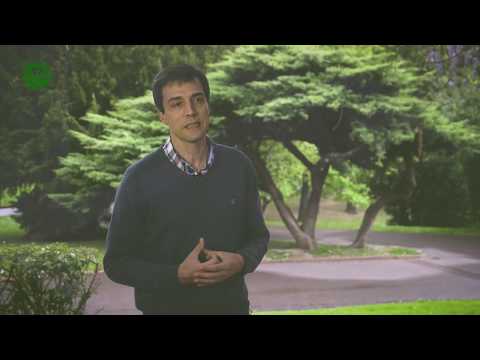 50 Years of Justice and Reconciliation - Patxi Álvarez SJ