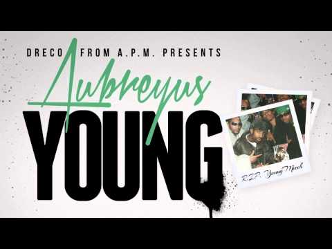 Aubreyus - Young