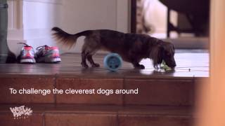 West Paw (Вест Пау) Toppl Treat Toy - Игрушка для лакомств для собак, L (10 см)