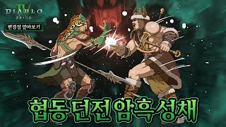 퀘이사존