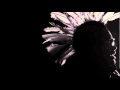 Vellie Vell Presents Rush Flv