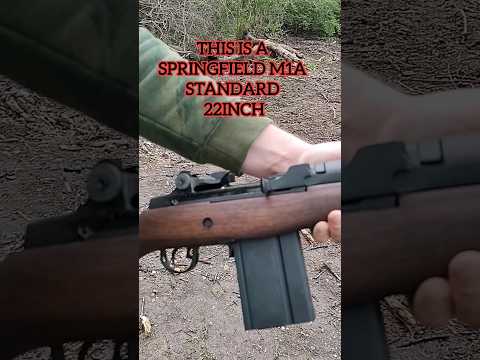 SPRINGFIELD M1A VS HOME OUTTER CINDER BLOCK WALL