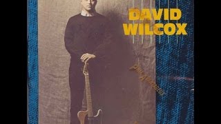 David Wilcox - Bad Apple (Lyrics on screen)