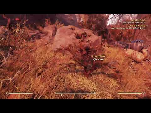 Fallout 76 Fresh start Wastelanders DLC on PS4 Pro Part 9 and Small Giveaway