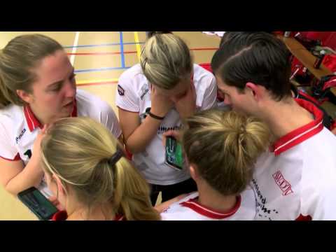 MotW Samenvatting: AW.DTV - LDODK/AH Gorredijk