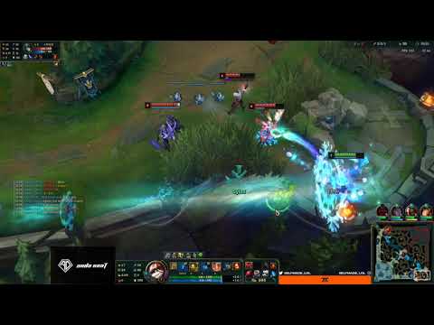 Selfmade bard fly hack L9 boost
