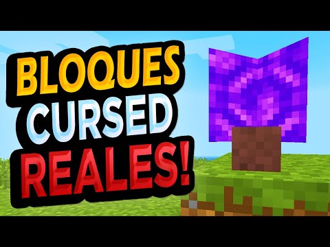 ✅ The Most CURSED Blocks of Real Minecraft!!