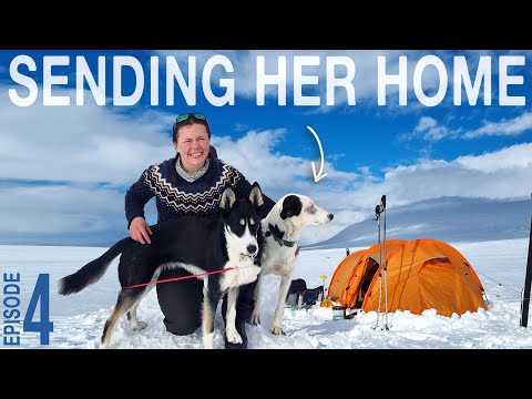 Hard decisions on 26-day solo winter hike with 2 dogs // Ep 4 of Skiing the Kungsleden