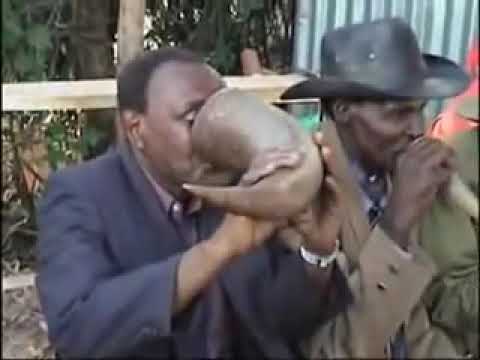 7 Years old!!FIRIRINDA SONG TRENDING NOW