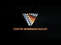 Village Roadshow Pictures 1998 Logo Reversed Flipped Normal Tone
