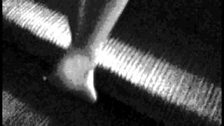 Drini Causholli - Identitet