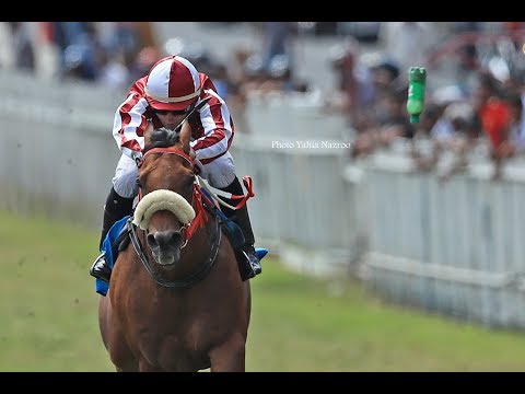INCIDENT: OPERA ROYAL - BOTTLE FILLED WITH SAND (RM 26 RACE 4)