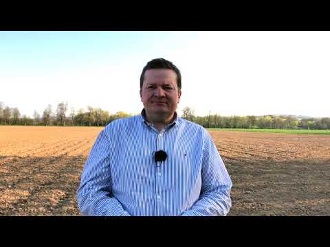 Crop Forum - What do corn professionals do differently? (Part 1)
