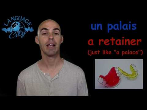 Dentist terms in French