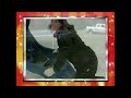 AFV Honourable Mentions Season 20 Episode 10 Christmas