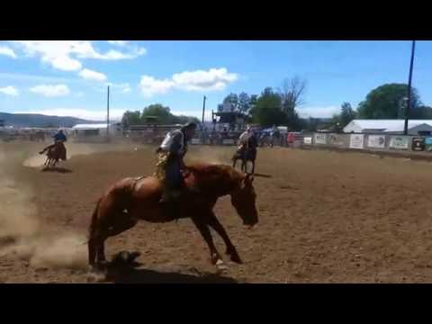 download lagu mp3 mp4 Wiley City Rodeo 2016, download lagu Wiley City Rodeo 2016 gratis, unduh video klip Wiley City Rodeo 2016