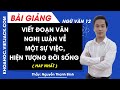 Cách viết đoạn văn nghị luận xã hội về một hiện tượng đời sống