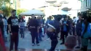 Adrian Young Presents Venice Dawn