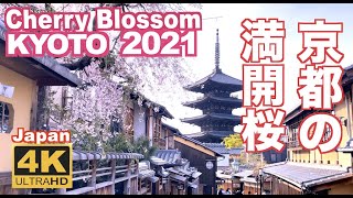 [問卦] 現在去日本京都旅遊的人在想什麼？