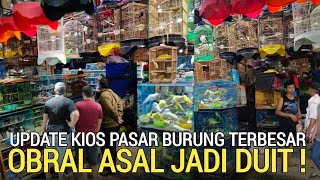 Download lagu PASAR BURUNG ! NEMU KIOS BESAR HARGA KO ASAL JADI DUIT SAJA DI PASAR BURUNG PRAMUKA HARI INI  mp3