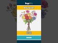 bouquet - 花束 video thumbnail