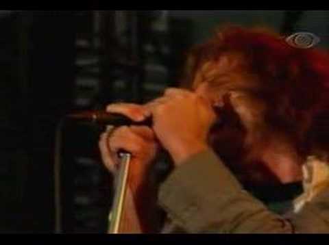 Pearl Jam - Animal (Live)