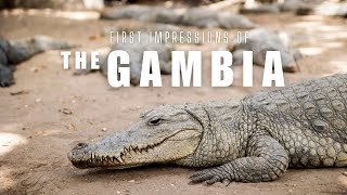 First Impressions of THE GAMBIA || Senegambia Travel Vlog