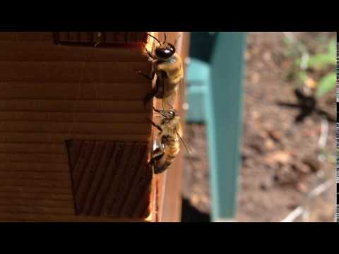 Drone being kicked out and flying away