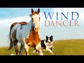 Wind Dancer 1993 Full Movie Mel Harris Matt McCoy Brian Keith