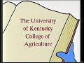 KET K Kid Bumper Pig Book 1993