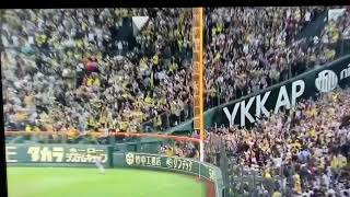 阪神 木浪プロ初HR！