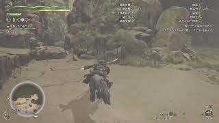 オバサンノはじめてのモンハン