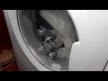 My Dad S Old Hotpoint AQUARIUS WF541 Washing Machine With A Sock Jammed In The Door Seal